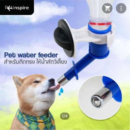 本周五采洽會(huì)來(lái)襲，泰國(guó)寵物衣架訂單引爆商機(jī)