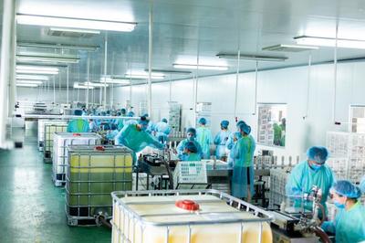 鹿邑“歸雁”返鄉(xiāng)創(chuàng)業(yè)潮 深耕中草藥萃取與日用百貨電商新篇章